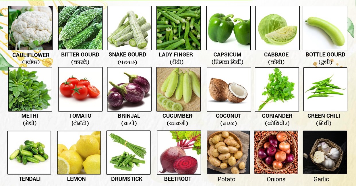 Fresh Natural Vegetables Exporter & Supplier